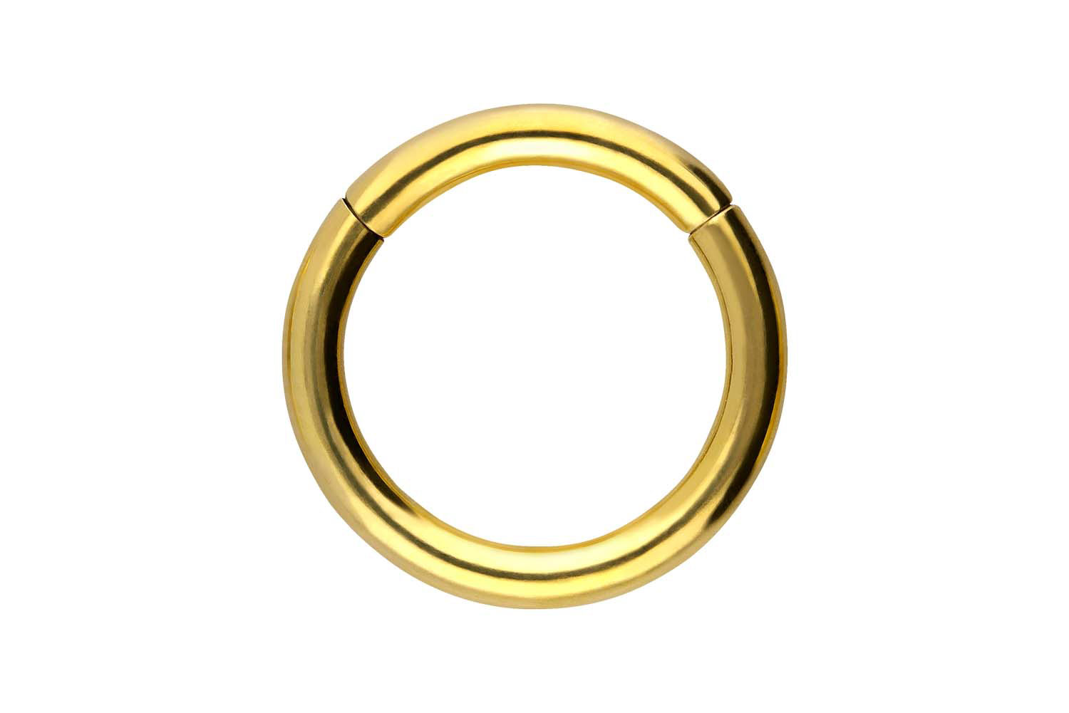 Chirurgenstahl Segmentring Clicker Piercing